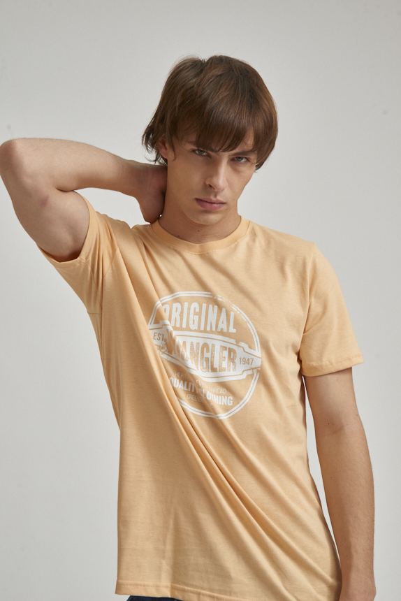 Remera Graphic Edge SS